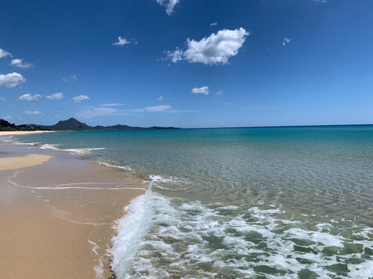Villa Del Moro, Free Wifi, 300Mt From Sinzias' Beach 哥斯达雷 外观 照片